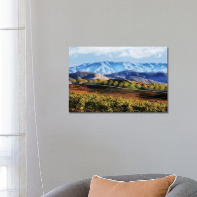 " Temecula Valley " by Michelee Scott