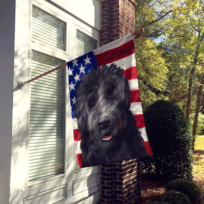 Double Sided 40'' H x 28'' W Polyester Independence Day House Flag