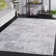 Amelia Performance Performance Abstract Rug