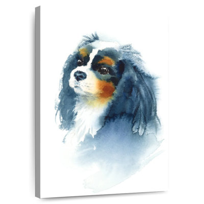 Brampt Cavalier King Charles