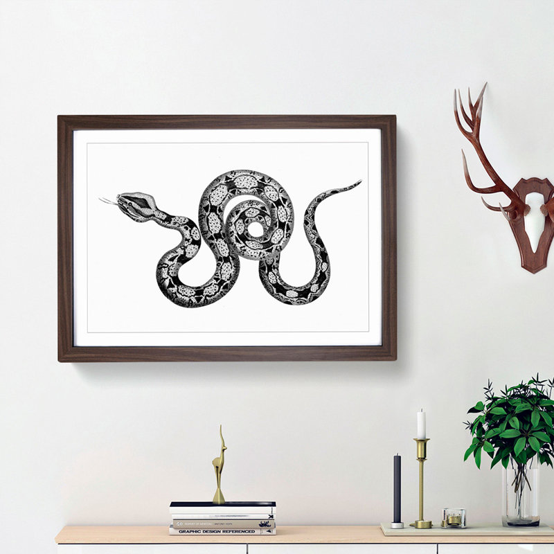 Boa Constrictor Snake in Black and White by George Shaw - Picture Frame Drawing Print, 48cm H x 65cm W x 2cm D, Walnut Framed