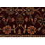 Tapis rouge Finest Agra Jaipur 2 pi 7 po x 9 pi 10 po