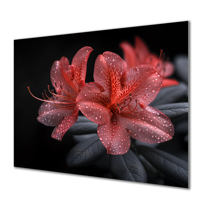 Rose, noir, rhododendron, fleur de minuit I - salon d'art mural rhododendron, H 24 po x l 32 po x P 1 po, Métal métal