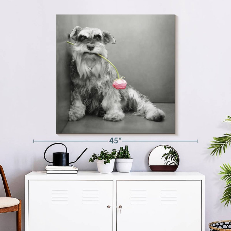 Brampt Ziggy BW, 33" H x 33" W