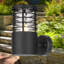 Fresin 18.8cm H Outdoor Armed Sconce