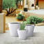 Pot de fleurs Waitman-1631442496