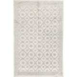 Neo Villa Southwestern Area Rug in Silver