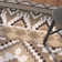 Mcneil Indoor / Outdoor Area Rug