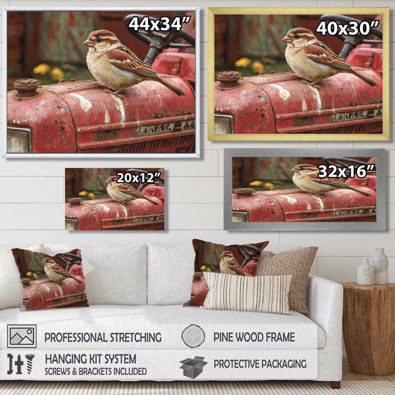Oiseau moineau sur le tracteur II - oiseau, art mural, H 34 po x l 44 po, Cadre flottant, Doré