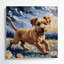 «Dogs Silky Terrier», art mural sur toile-942010620