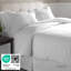 Ensemble de draps en 100% flanelle de pointe 190 g / m² Pointehaven-126557504-126557518