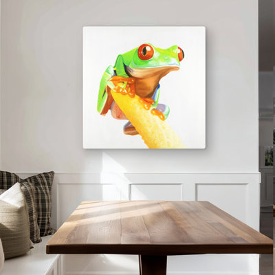 Curious Red Eyed Frog | Livingroom Reptile Metal Print Decor