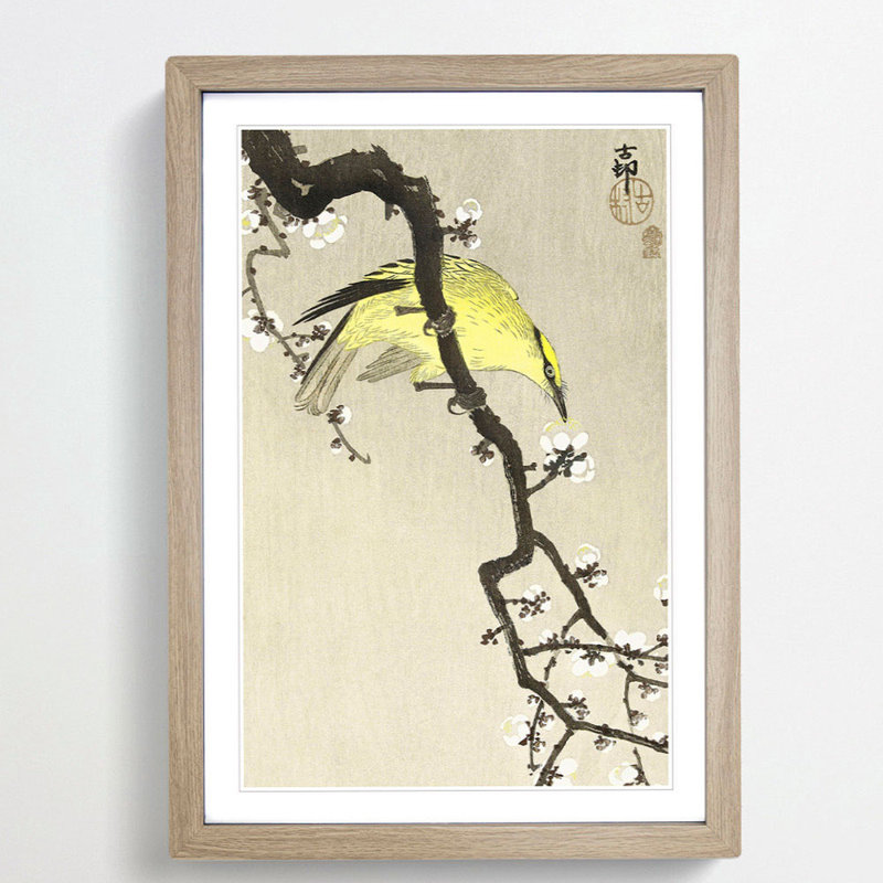 Chinese Oriole Bird on a Plum Blossom by Ohara Koson - Picture Frame Painting Print, 48cm H x 36cm W x 2cm D, Oak Framed