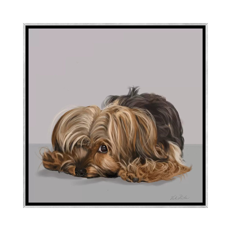 «Yorkshire Terrier One Eye Open» par Vicki Newton - reproduction d'art, Aucun mat, H 26 po x l 26 po x P 1,5 po