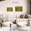 Charleston Oak Forest-1119509703-1119509710