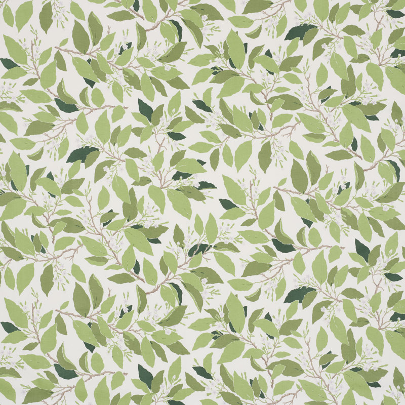 Tissu Schumacher x Miles Redd Dogwood, Ivoire