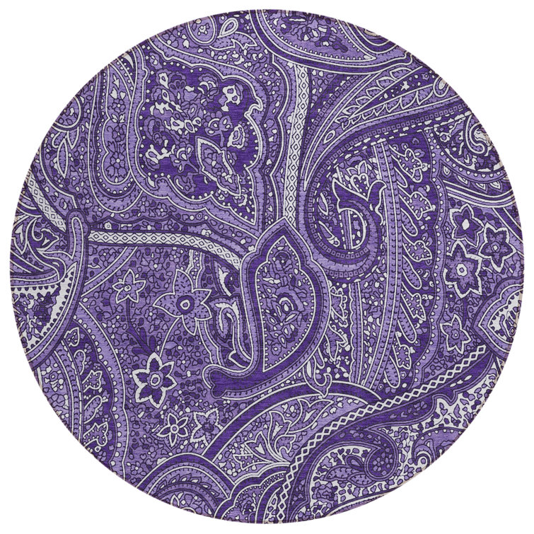 Paisley Indoor / Outdoor Rug