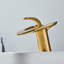 Robinet pour salle de bain à poignée simple avec plaque de recouvrement et ensemble de drain Wovier-93400833
