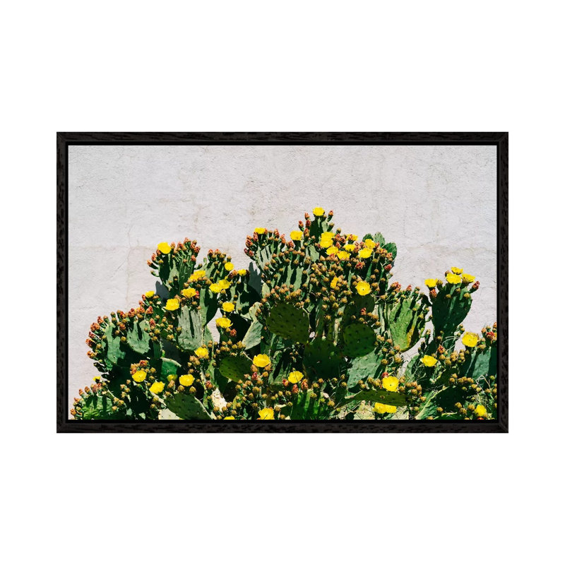Cactus Blooms by Bethany Young - Print on Canvas, 66.04cm H x 101.6cm W x 3.81cm D, Black Framed