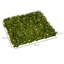 Artificial Plant 