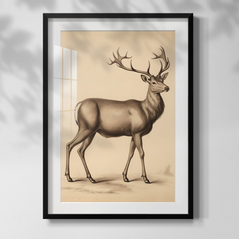 Vintage Animal Print VII - Reproduction encadrée, Noir