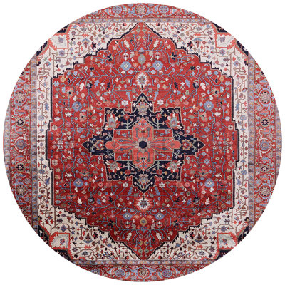 Oriental Indoor Rug