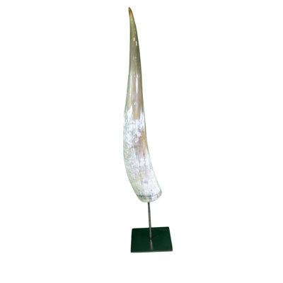 Watusi Cow Horn on Metal Stand