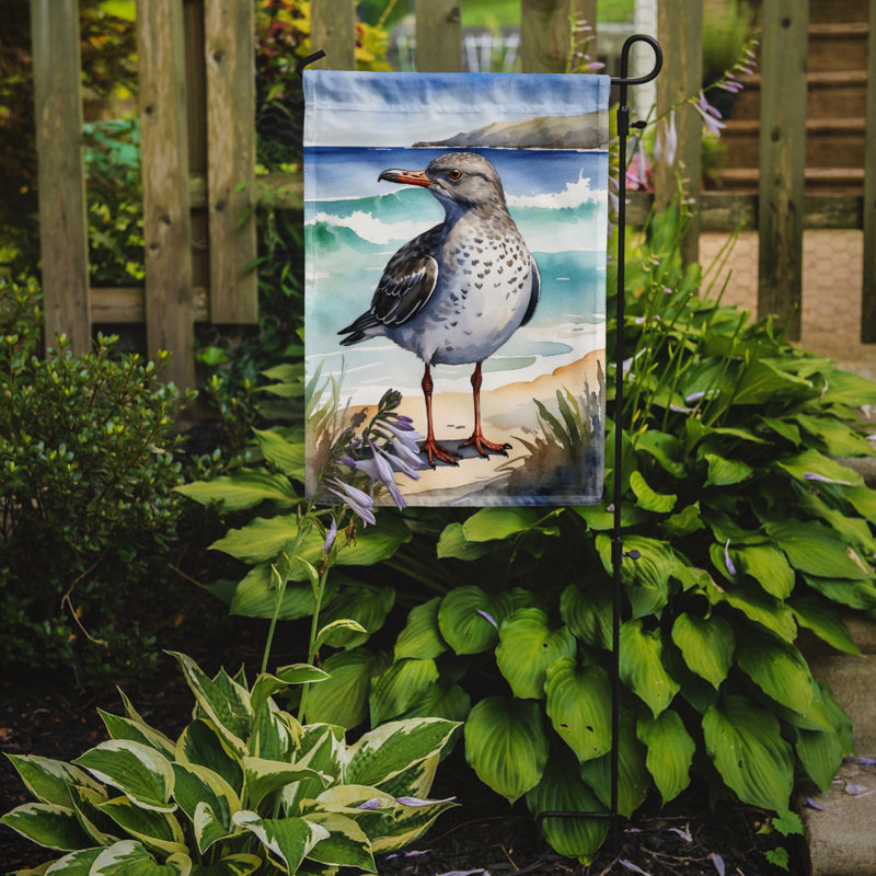 Drapeau de jardin Surfbird Bird, Surfbird