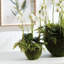 Orchid & Fern Drop-In 18"