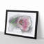 Pink Tulip Sketch - Picture Frame Graphic Art Print-56874812-56874814