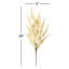 Vaporisateur artificiel Amaranthus