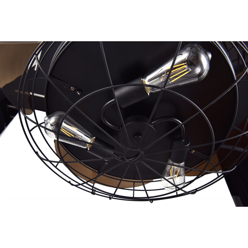 Ventilateur de plafond avec télécommande et ensemble d’éclairage inclus Anacortes, Noir