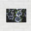 Hydrangeas Ouverture par Debra Van Swearingen-776009361