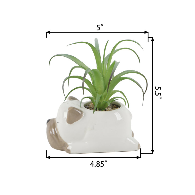 Succulent Arrangement in Planter