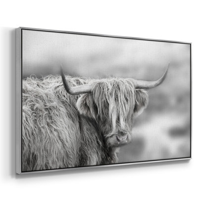 " Roaming Isle Of Skye "