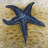 starfish - 32"x32" art on canvas