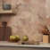 Parma Star and Cross 6" Terracotta Look Porcelain Floor and Wall Tile   