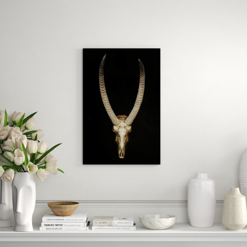 Skull And Bones III Print by Nash Rambler, Glass Coat, 54" H x 36" W x 1.5" D