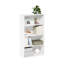 105.9cm H x 59.9;59.9cm W Standard Bookcase-69785402
