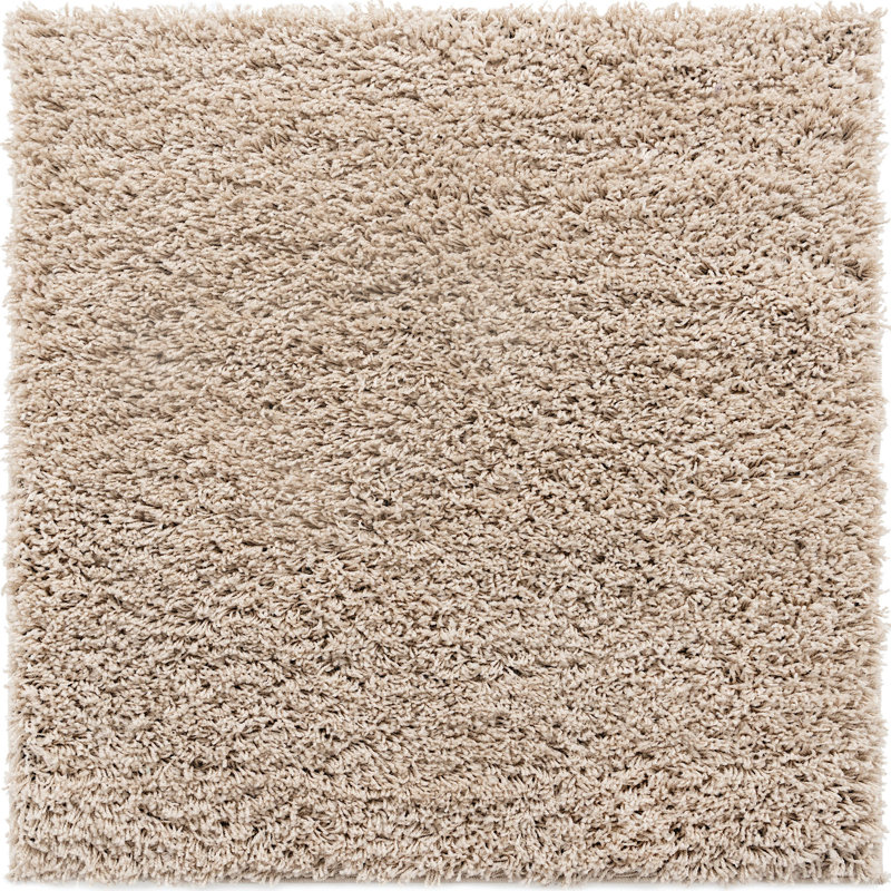 Tapis à poils longs Ashmita de couleur brun clair, Carré 3 pi 3 po