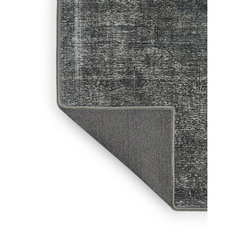 Jamarion Oriental Indoor Rug, Rectangle 2' x 5'