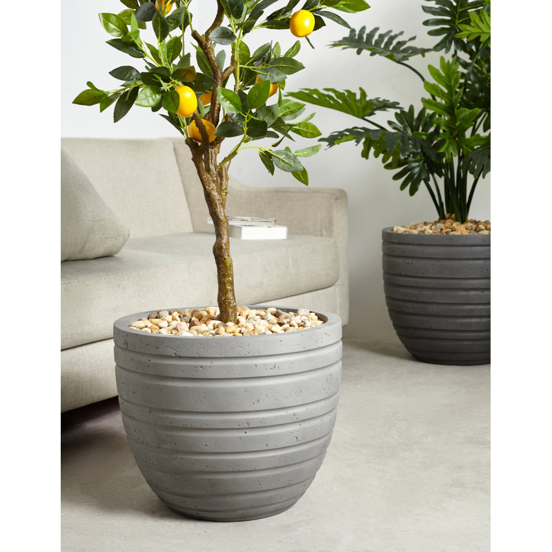 Jardin vertical en résine, Gris, H 13 po x l 15 po x P 15 po