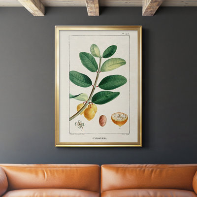 " Turpin Tropical Botanicals V "