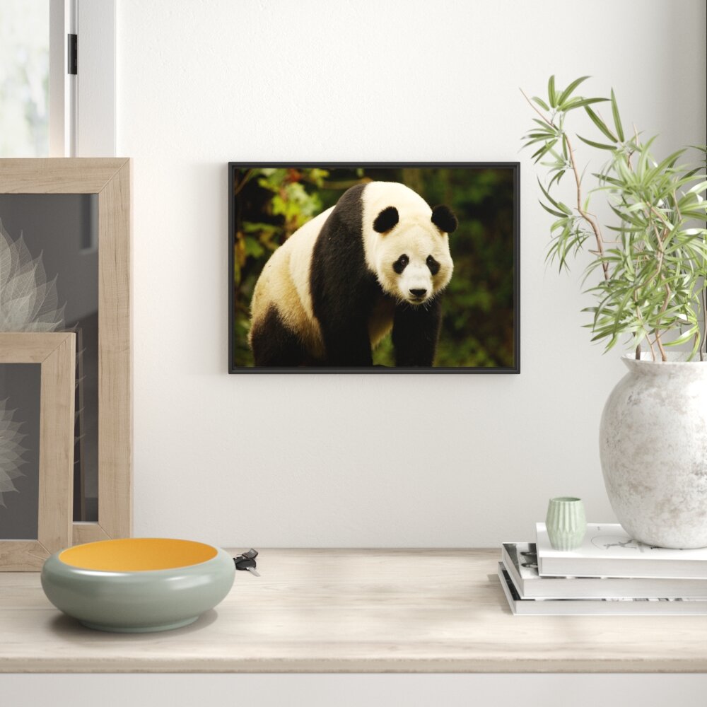 Gerahmtes Wandbild großer Pandabär