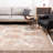 Oriental Indoor Rug
