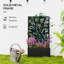 Metal Raised Garden Bed with Trellis