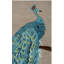 Tapis 60% laine, 20% viscose, 20% coton Rudra-1483725985