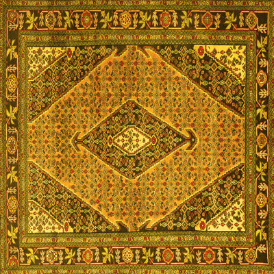 Washable Oriental Indoor Rug