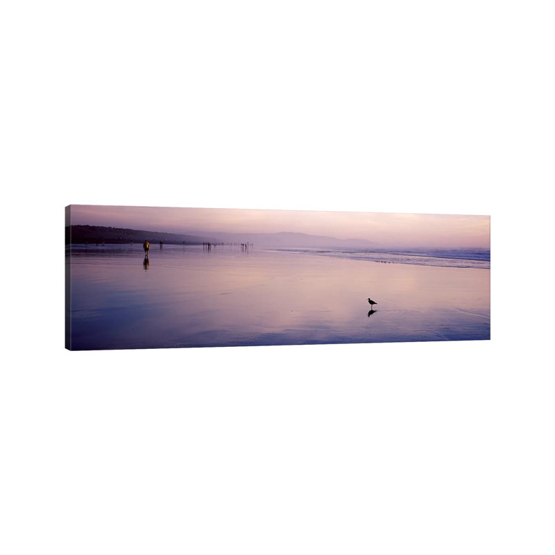 Sandpiper On The Beach, San Francisco, California, USA - Wrapped Canvas Panoramic Print, 182.88 cm H x 60.96 cm W