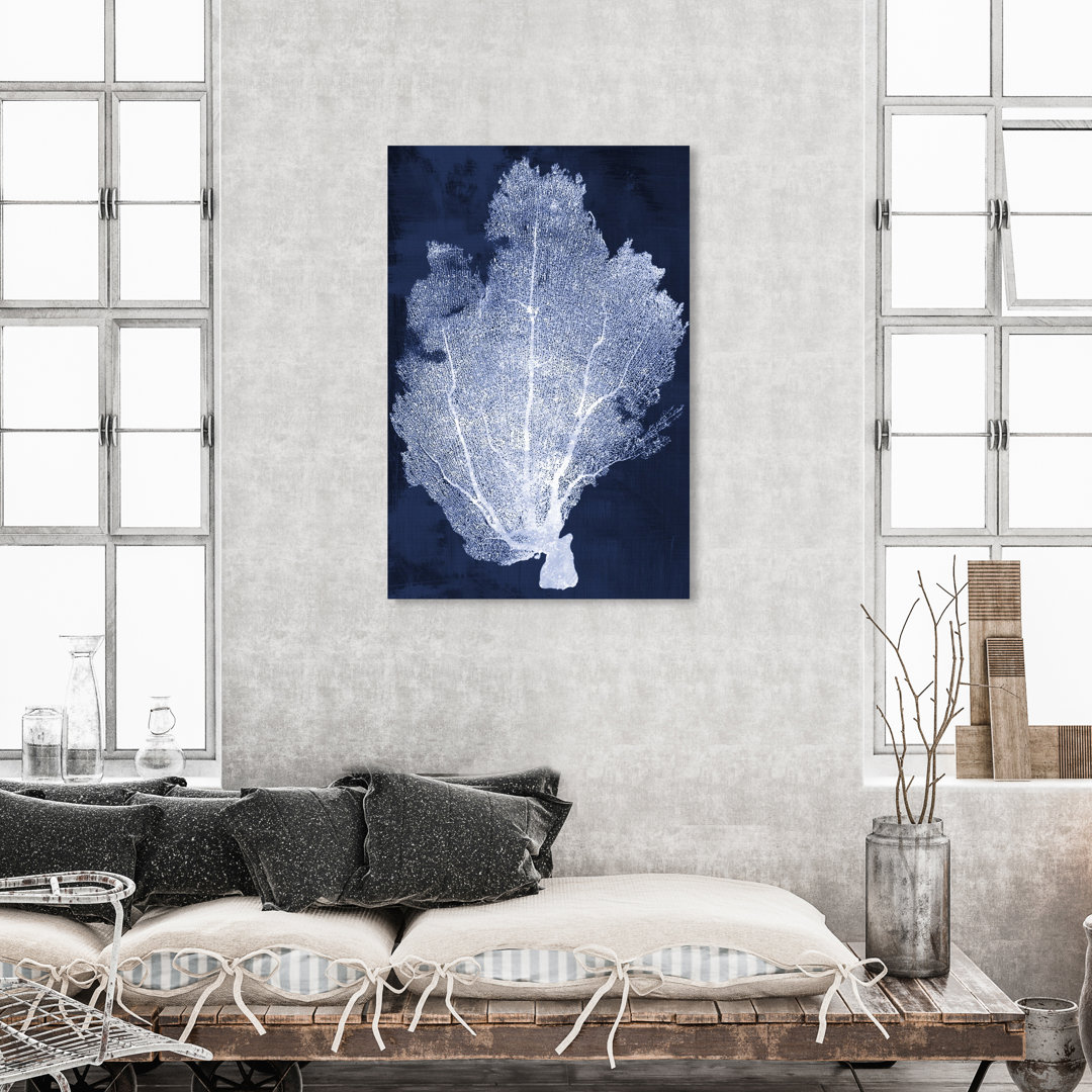 " Coral Fan Cyanotype 2 " by Oliver Gal Oliver Gal Prints 